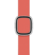 Apple Watch 38/40/41 mm Modernes Lederarmband, zitruspink, klein